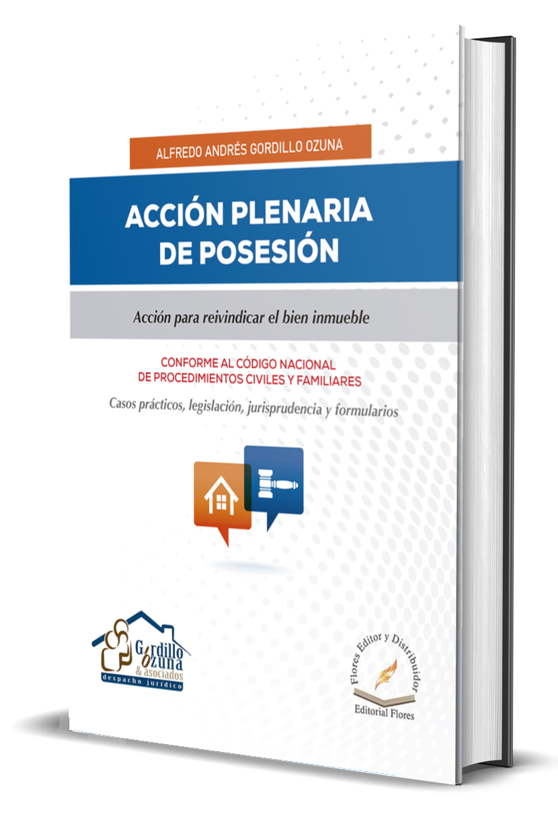 ACCIÓN PLENARIA DE POSESIÓN