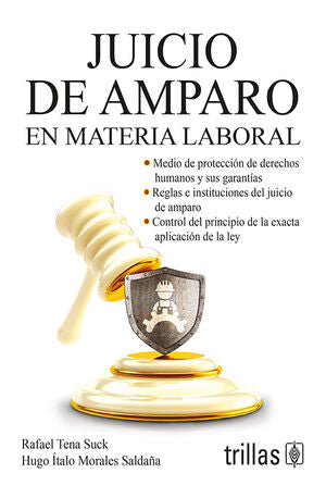 JUICIO DE AMPARO EN MATERIA LABORAL - Rafael Tena Suck