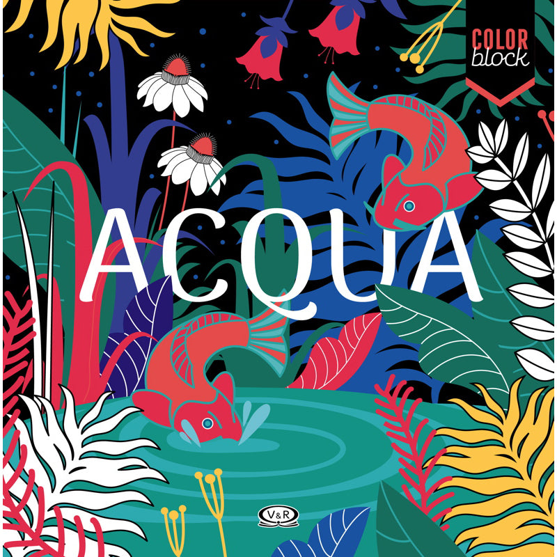 Acqua color block