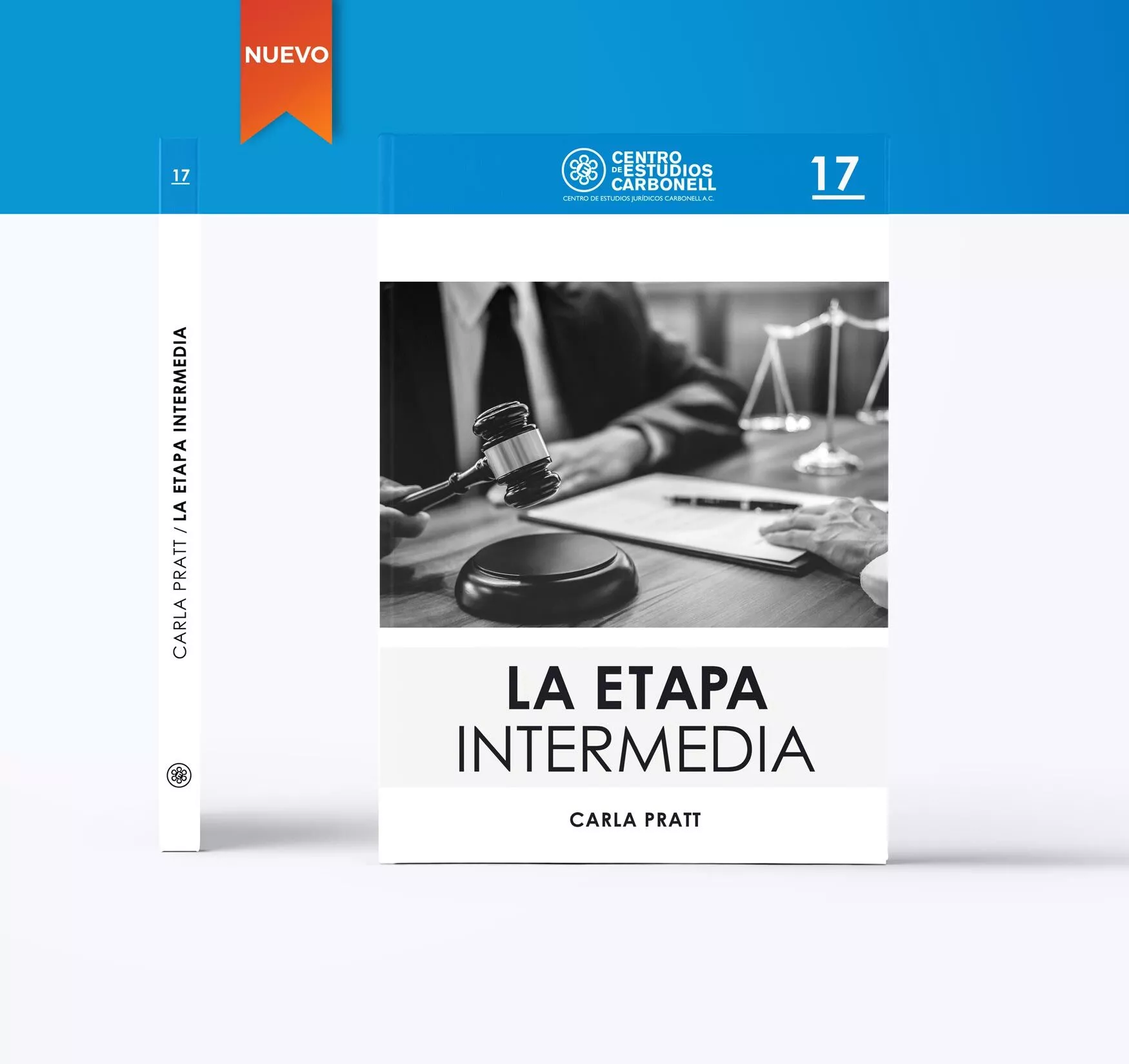 LA ETAPA INTERMEDIA (17) - Carla Pratt