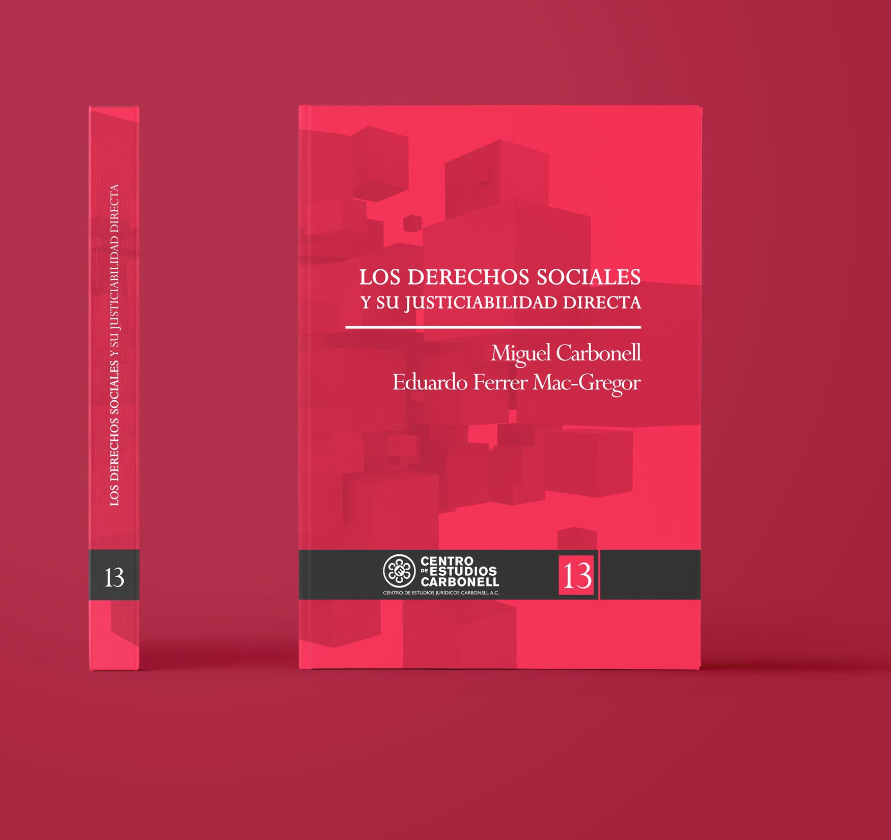 LOS DERECHOS SOCIALES Y SU JUSTICIABILIDAD DIRECTA (13) - Miguel Carbonell, Eduardo Ferrer Mac-Gregor