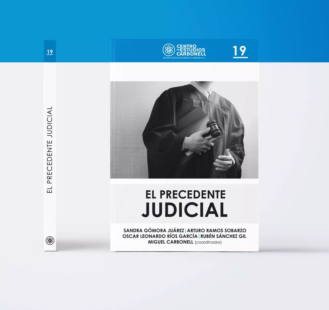 EL PRECEDENTE JUDICIAL (19) - Sandra Gómora Juárez