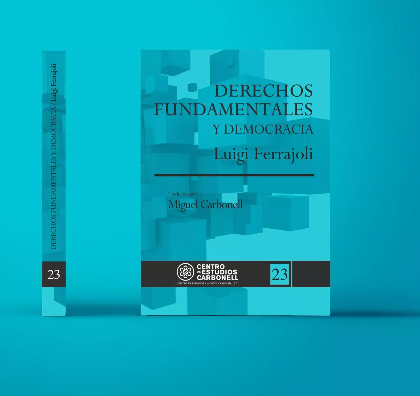 DERECHOS FUNDAMENTALES Y DEMOCRACIA (23) - Luigi Ferrajoli