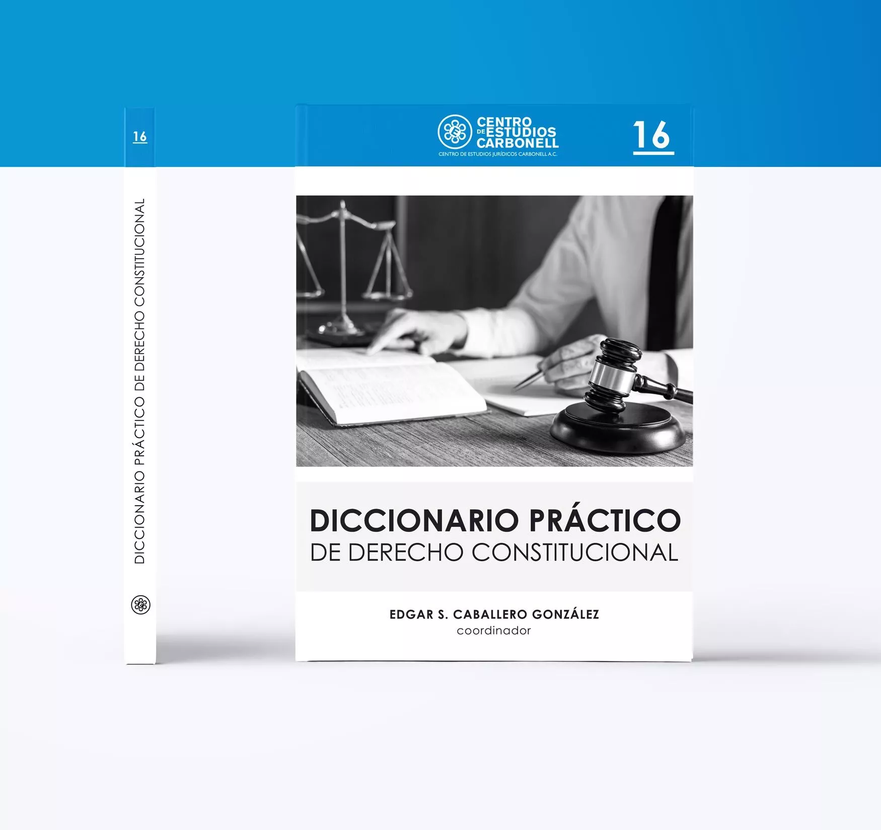 DICCIONARIO PRÁCTICO DE DERECHO CONSTITUCIONAL (16) - Edgar S. Caballero González