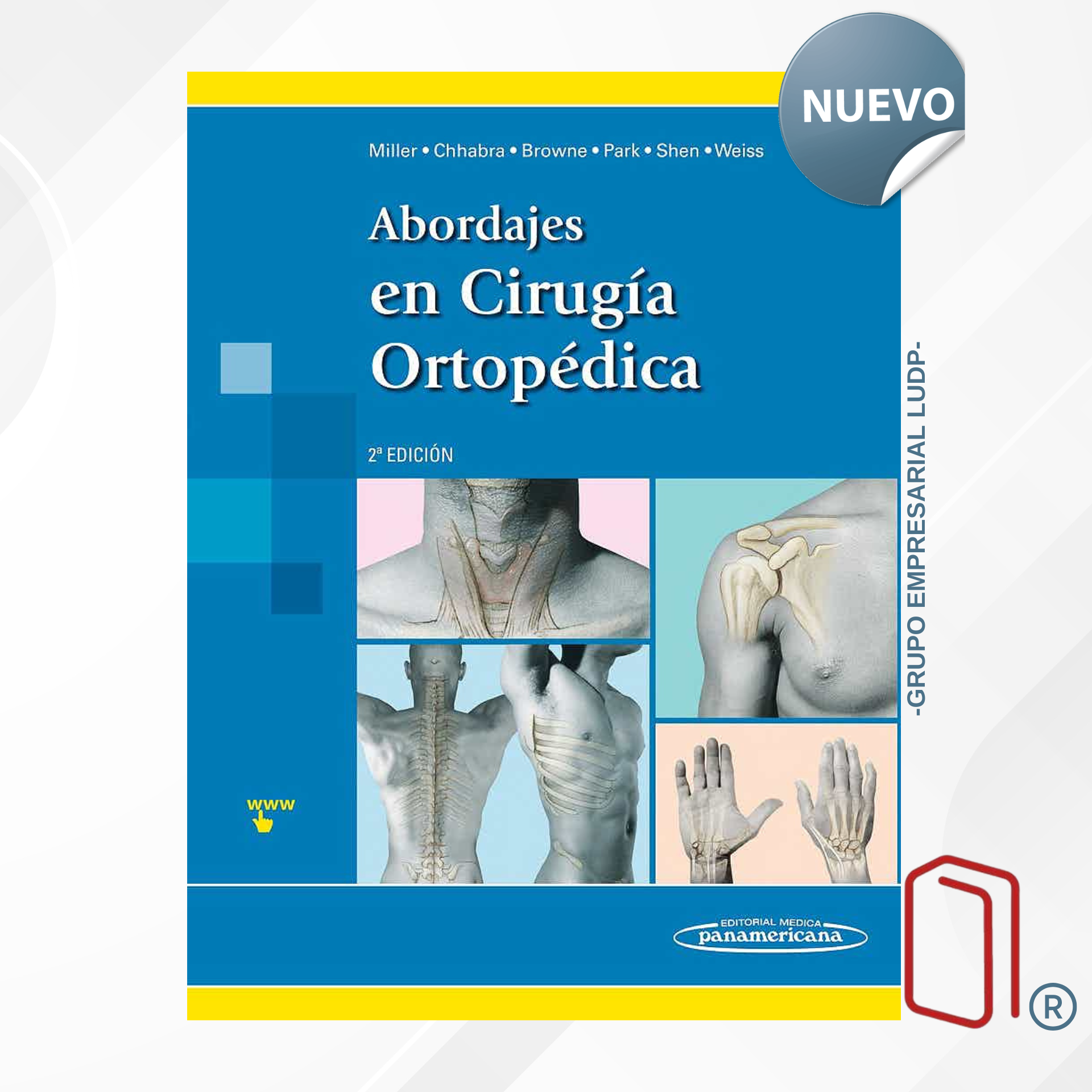 ABORDAJES EN CIRUGÍA ORTOPÉDICA - Mark D. Miller,A. Bobby Chhabra,