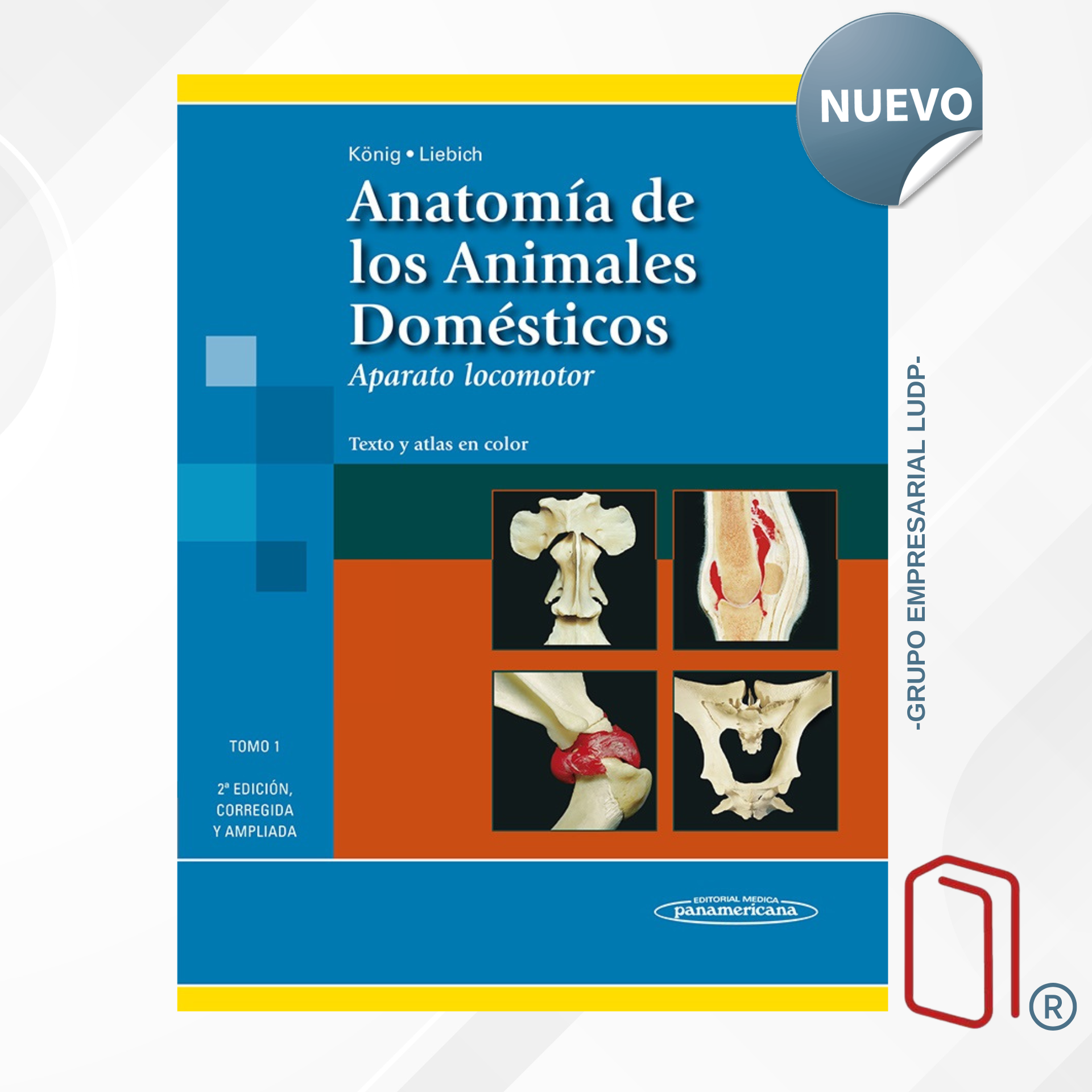ANATOMÍA DE LOS ANIMALES DOMÉSTICOS (2TOMOS) - Horst Erich König