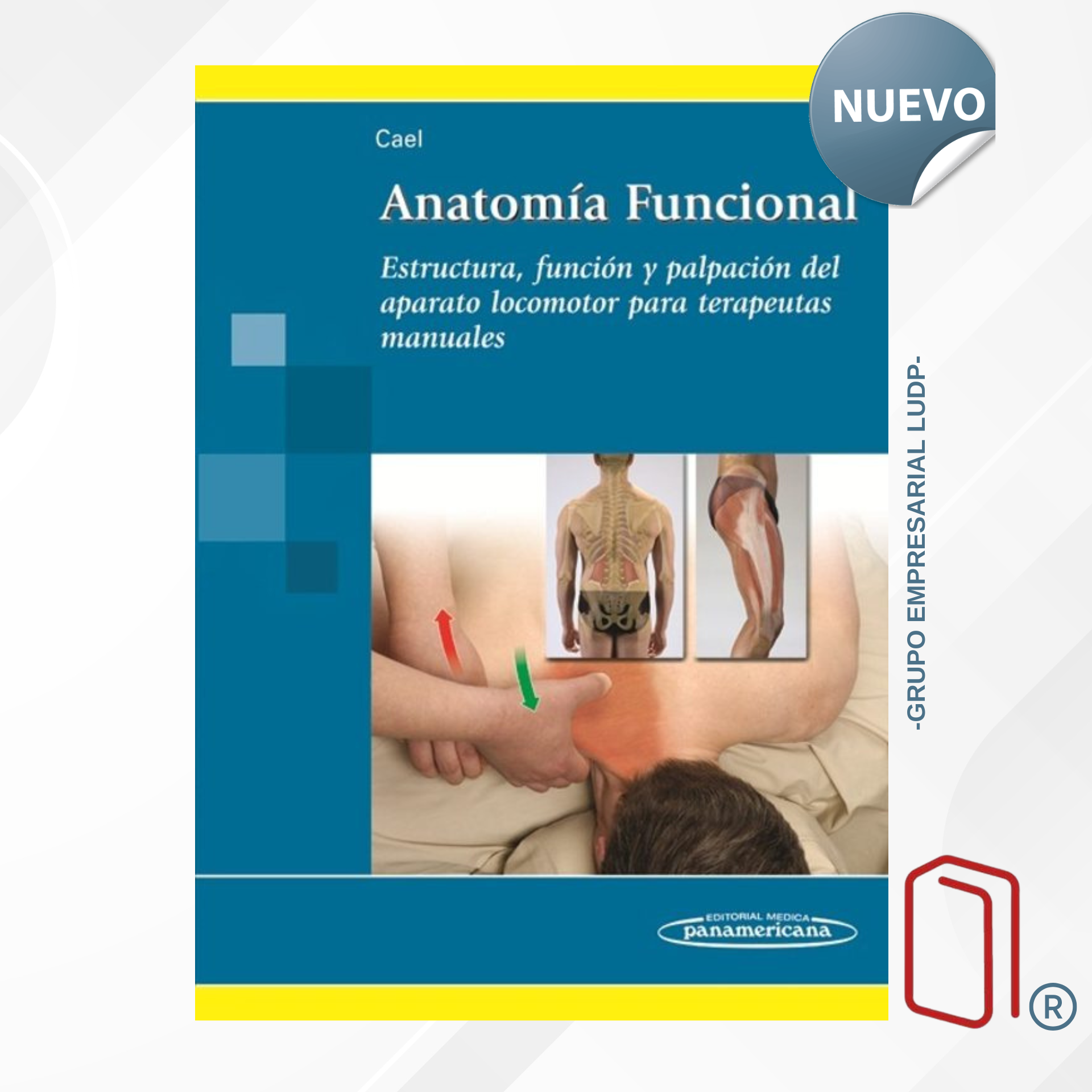 ANATOMÍA FUNCIONAL - Christy Cael