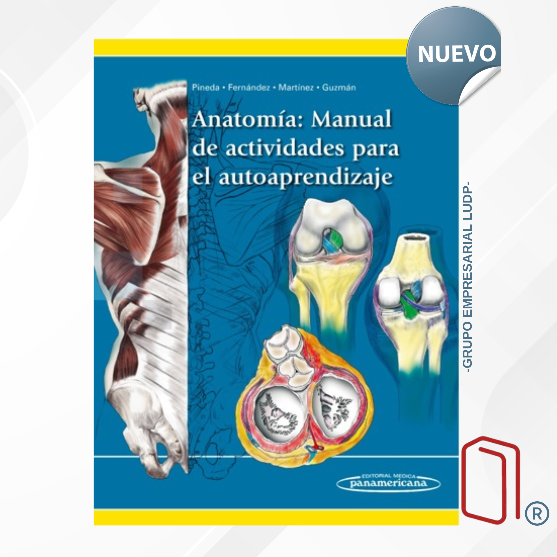 ANATOMÍA: MANUAL DE ACTIVIDADES PARA EL AUTOAPRENDIZAJE - Diego Pineda Martínez