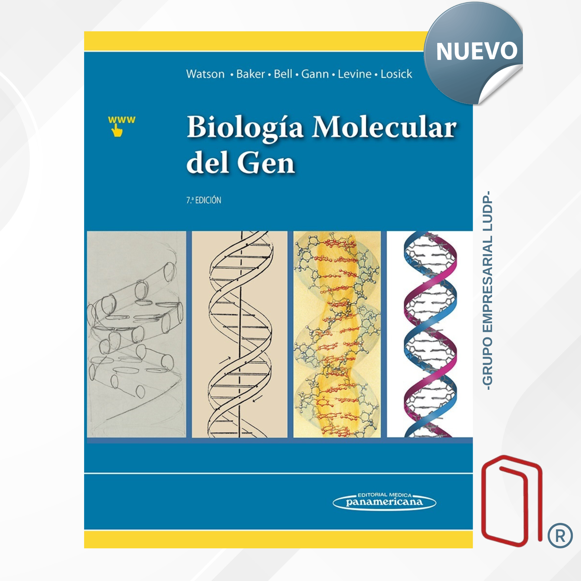 BIOLOGÍA MOLECULAR DEL GEN - James D. Watson,Tania A. Baker,Stephen P. Bell