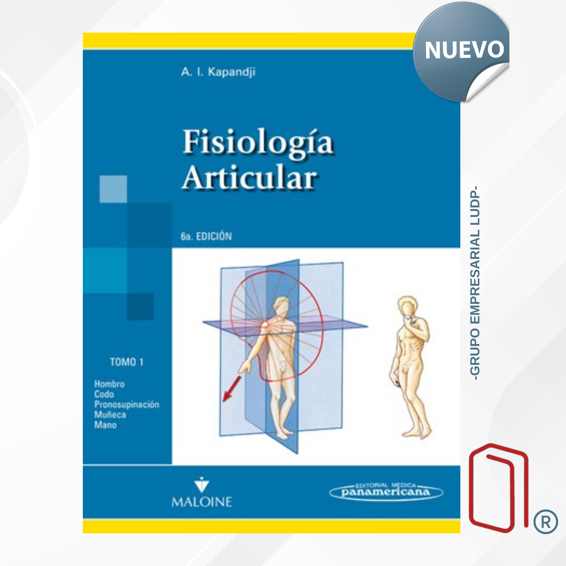 FISIOLOGÍA ARTICULAR TOMO I. MIEMBRO SUPERIOR - A. I. Kapandji