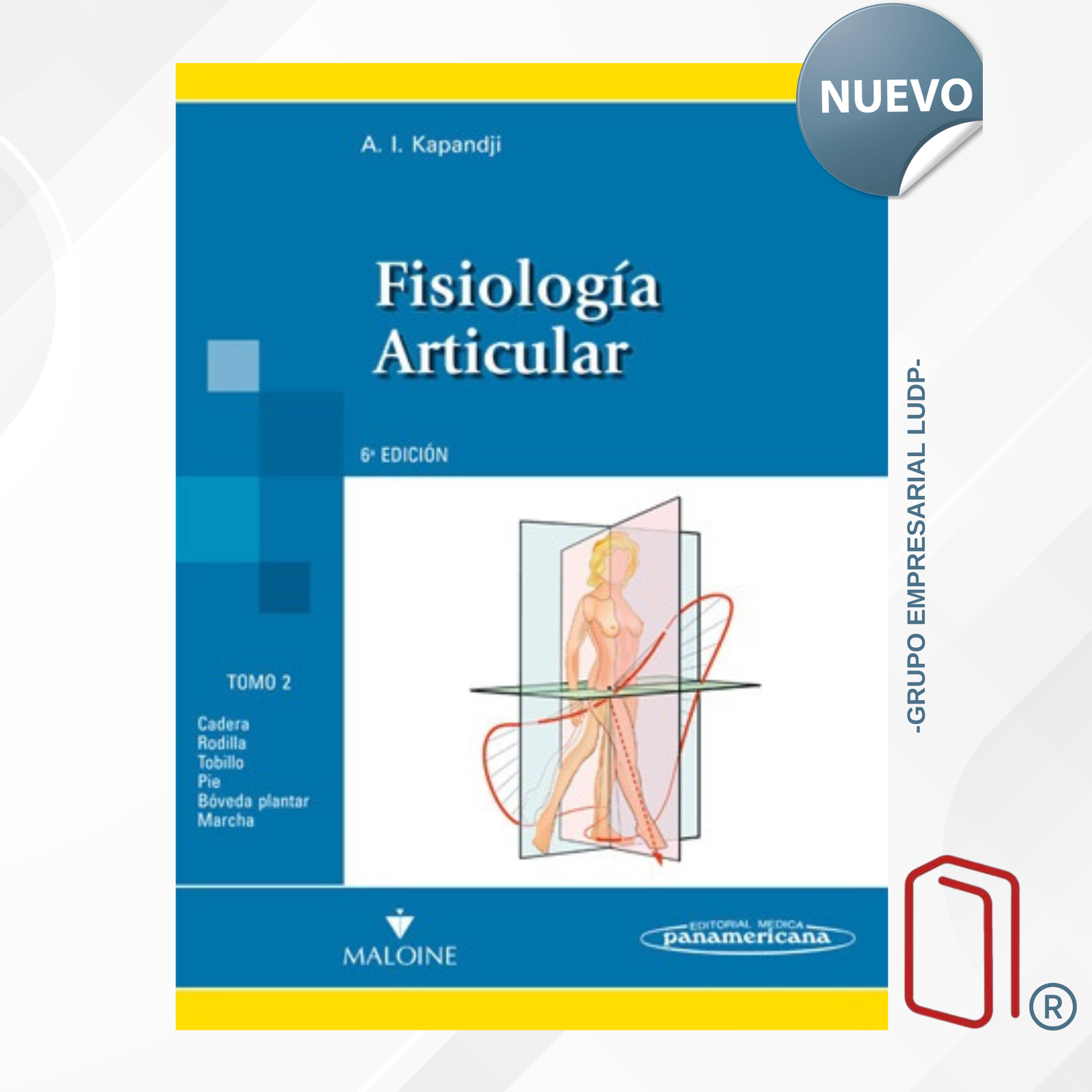 FISIOLOGÍA ARTICULAR TOMO II. MIEMBRO INFERIOR - A. I. Kapandji