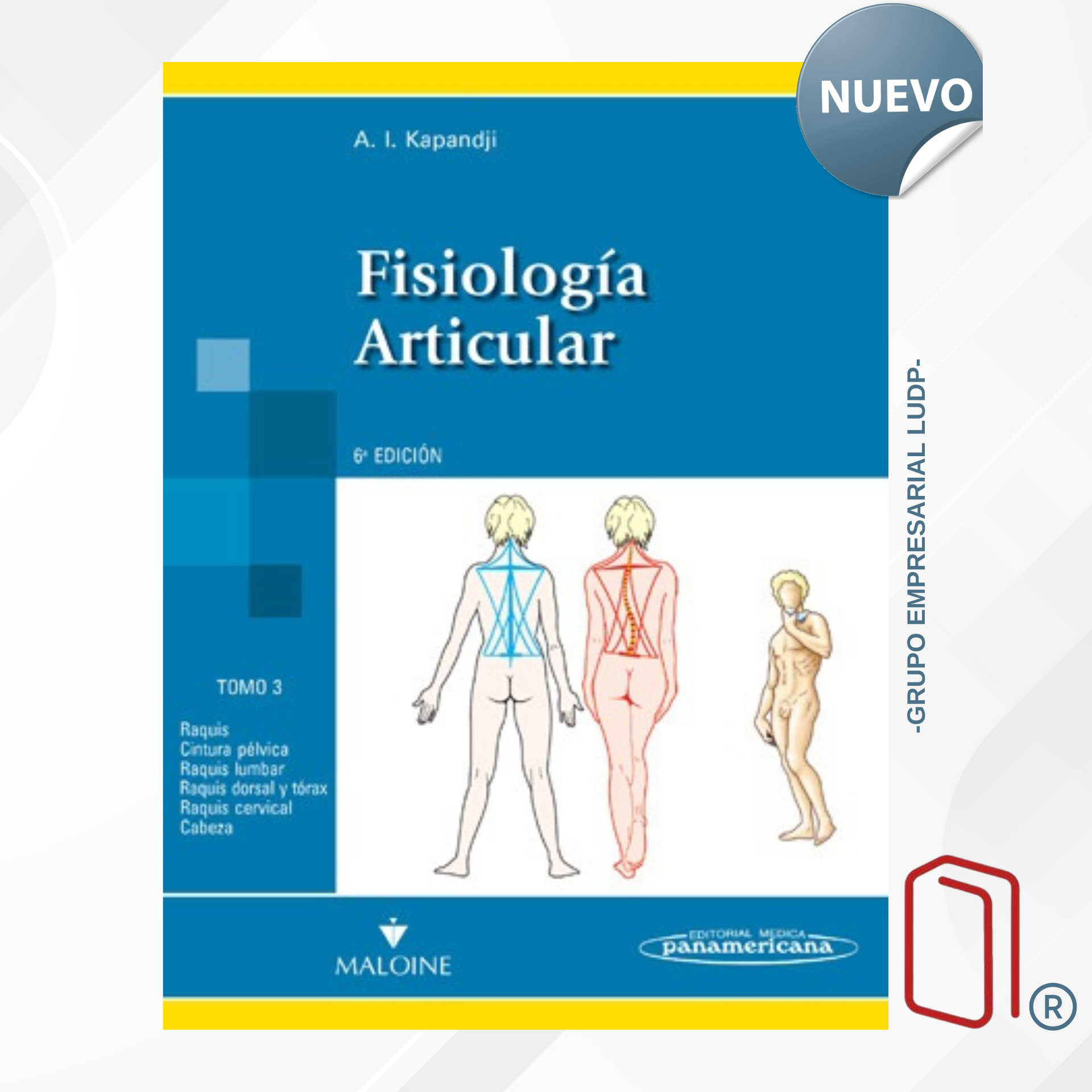 FISIOLOGÍA ARTICULAR TOMO III. TRONCO Y RAQUIS - A. I. Kapandji