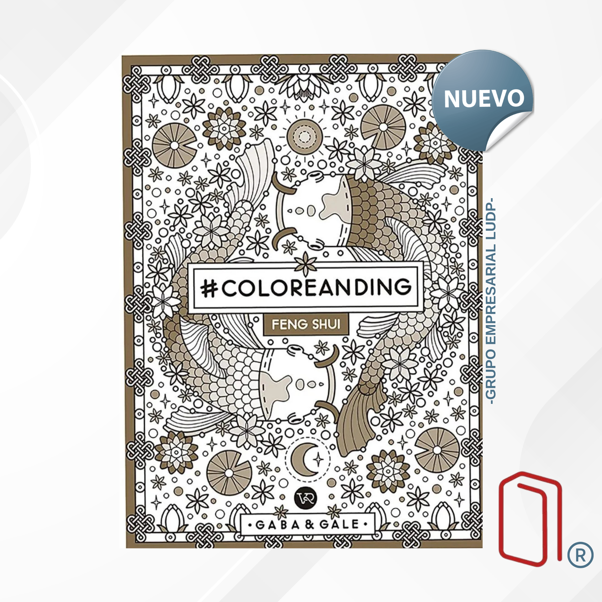 #COLOREANDING FEN SHUI