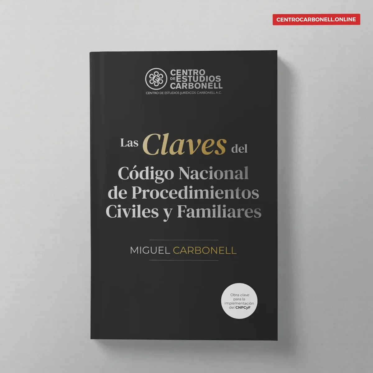 Las Claves Del Código Nacional De Procedimientos Civiles y Familiares