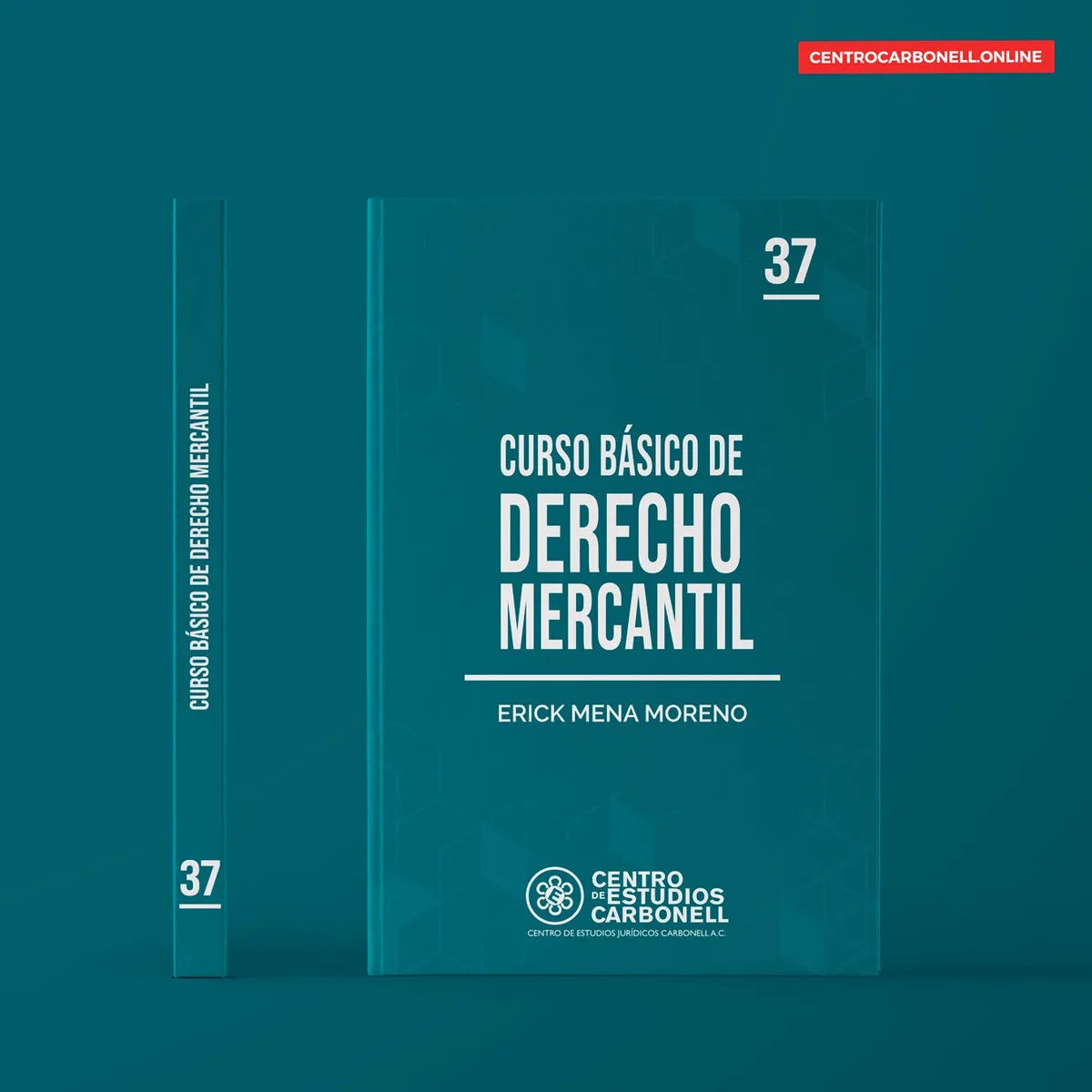 CURSO BÁSICO DE DERECHO MERCANTIL #37