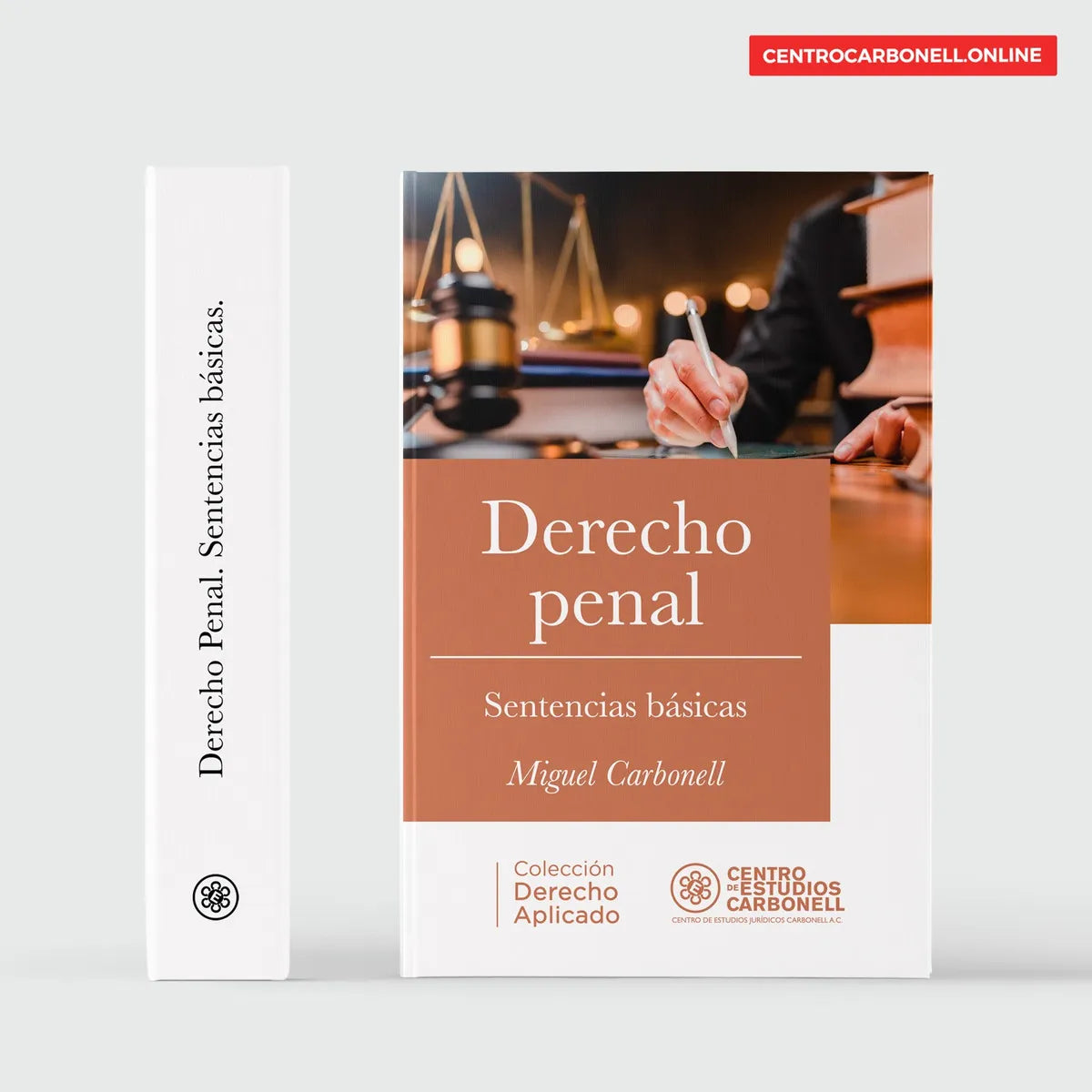 DERECHO PENAL. SENTENCIAS BÁSICAS
