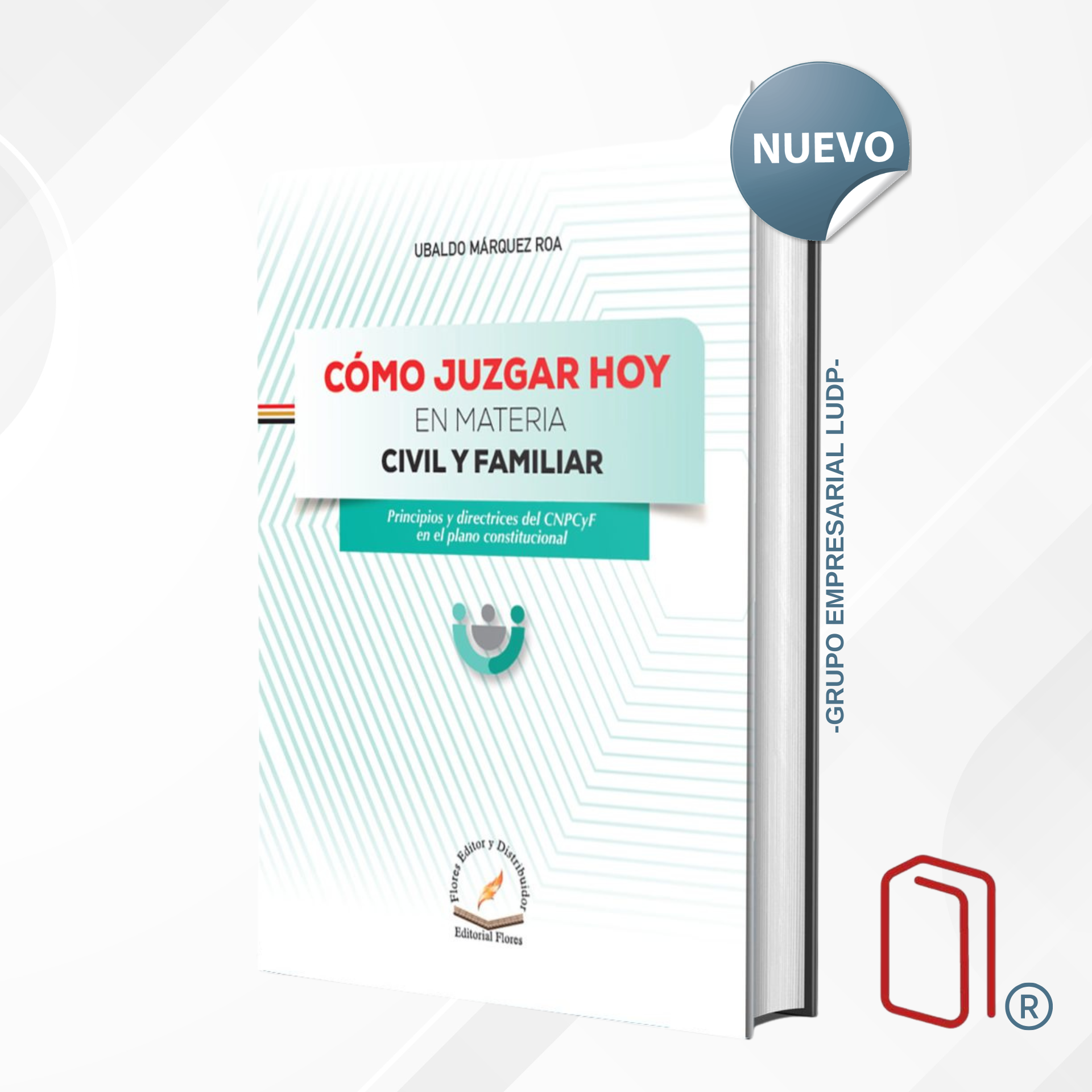 CÓMO JUZGAR HOY EN MATERIA CIVIL Y FAMILIAR (Principios y directrices del CNPCyF en el plano constitucional)