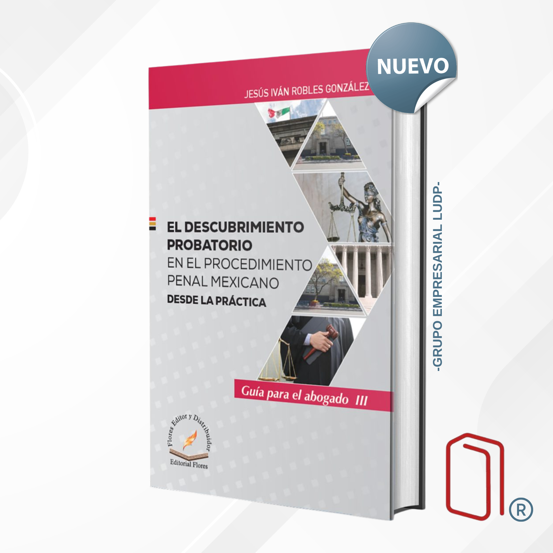 EL DESCUBRIMIENTO PROBATORIO EN EL PROCEDIMIENTO PENAL MEXICANO DESDE LA PRÁCTICA