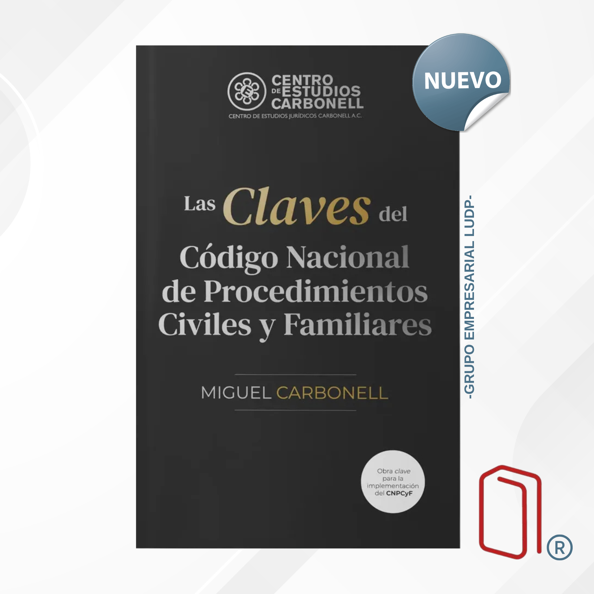 Las Claves Del Código Nacional De Procedimientos Civiles y Familiares