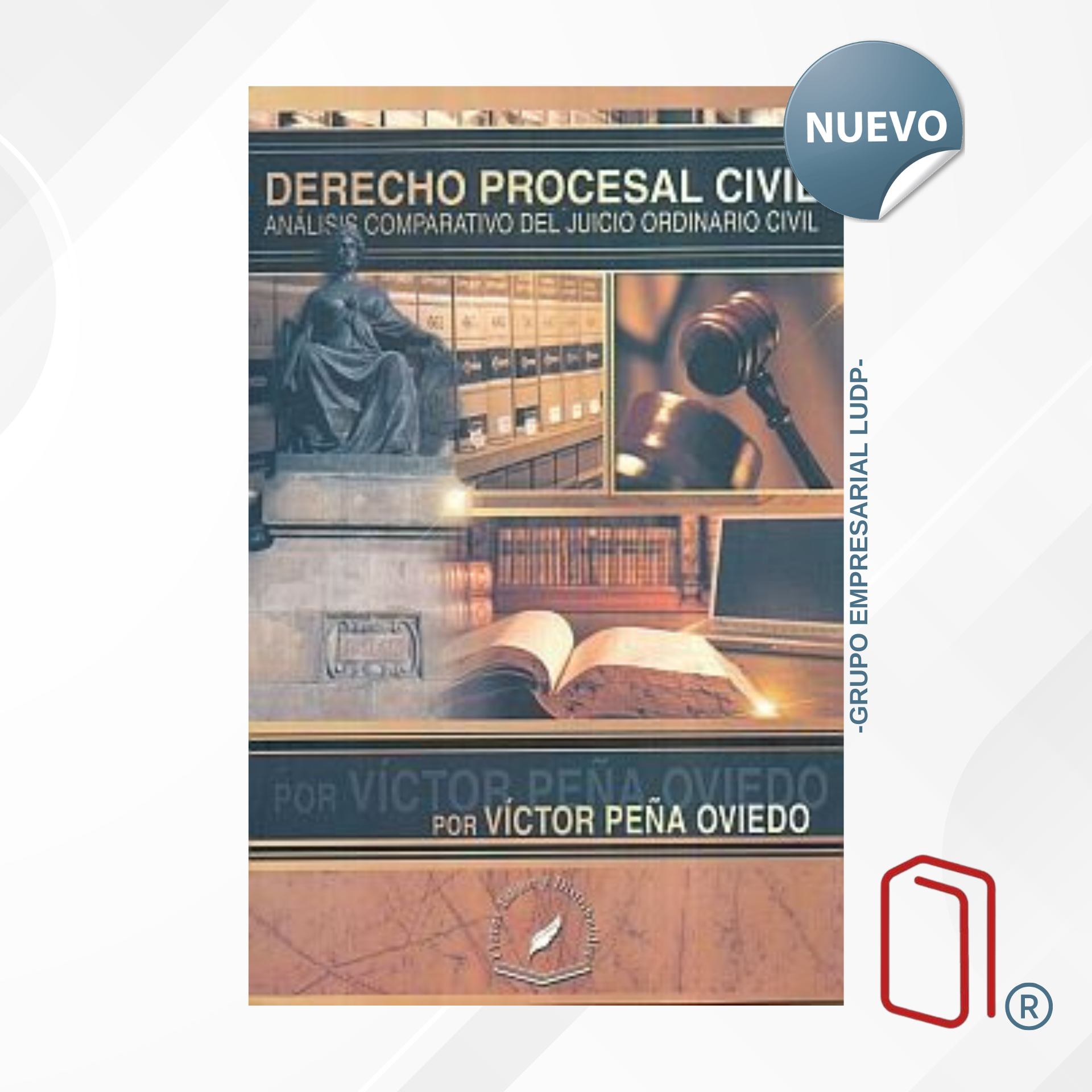 DERECHO PROCESAL CIVIL - Victor Peña Oviedo