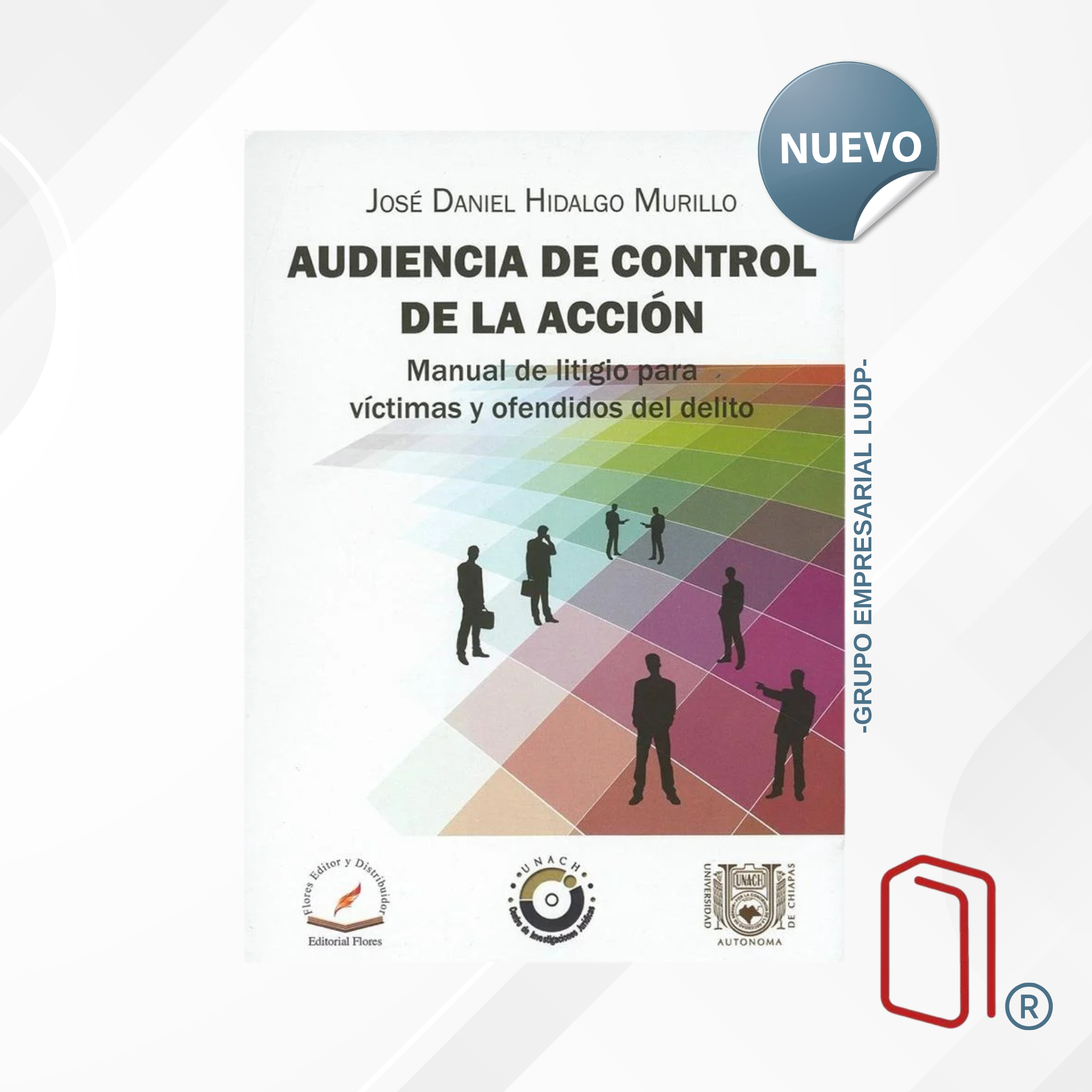 AUDIENCIA DE CONTROL DE LA ACCION - José Daniel Hidalgo Murillo