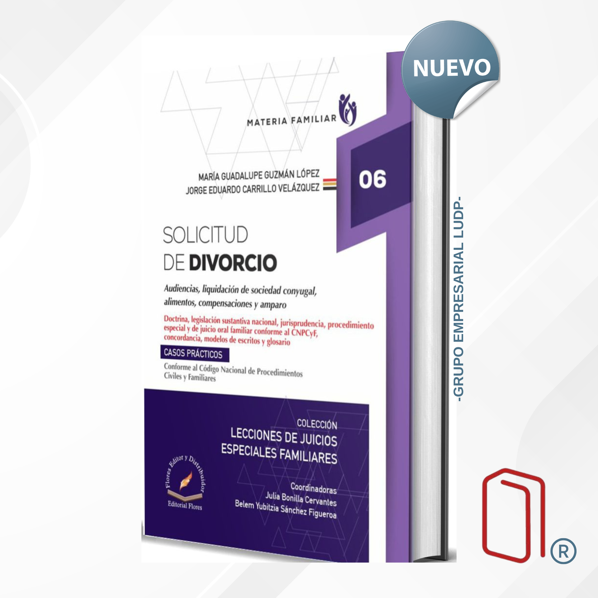 SOLUCITUD DE DIVORCIO Tomo 06