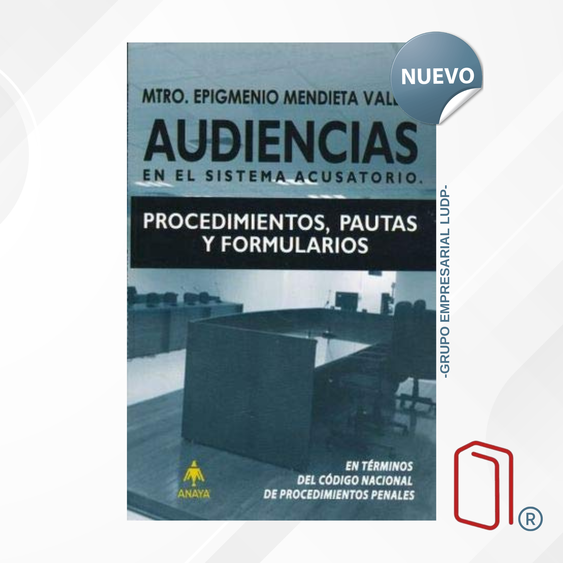 Audiencias En El Sistema Acusatorio. Procedimientos Pautas Y Formularios - Mtro. Epigmenio Mendieta Valdes