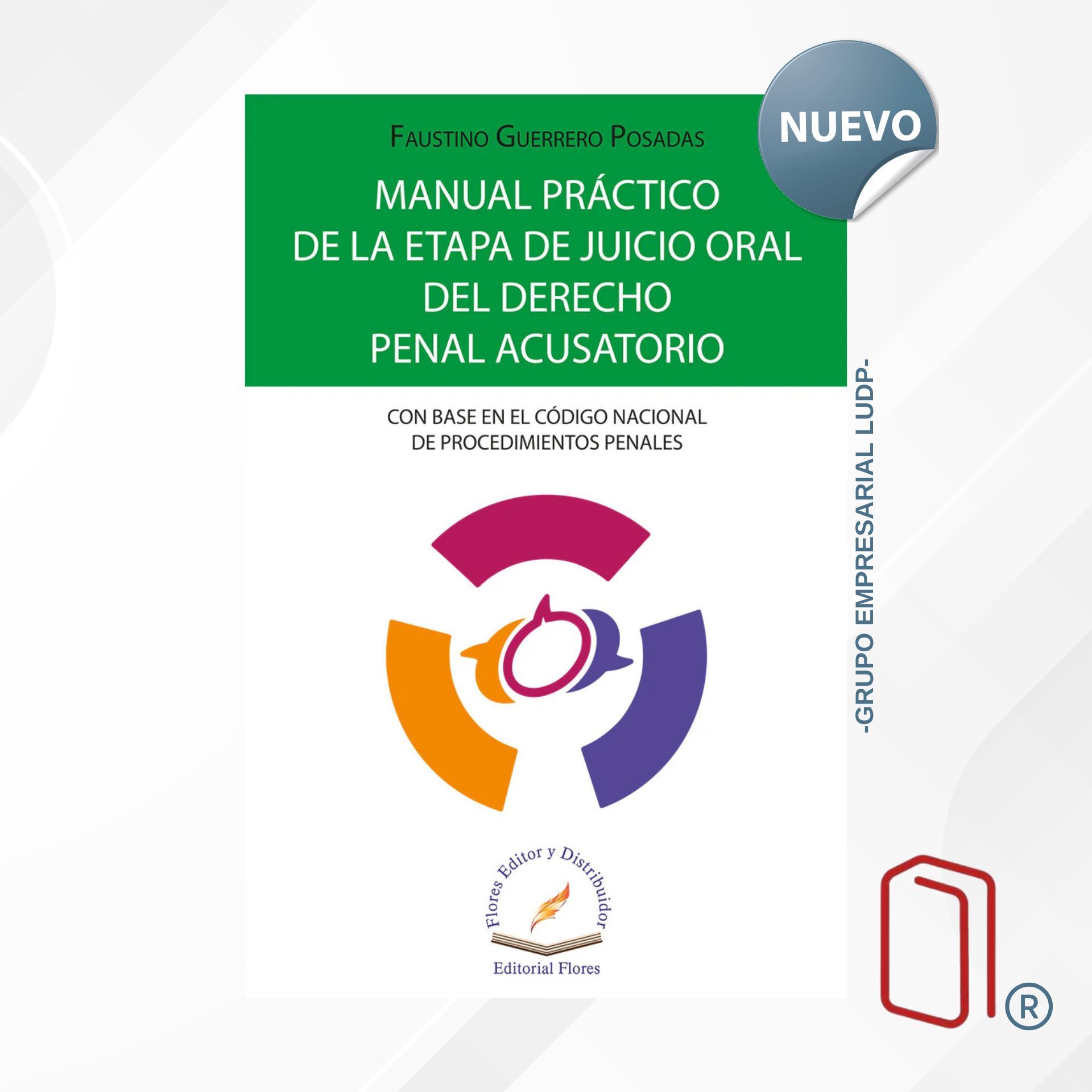 MANUAL PRÁCTICO DE LA ETAPA DE JUICIO ORAL DEL DERECHO PENAL ACUSATORIO