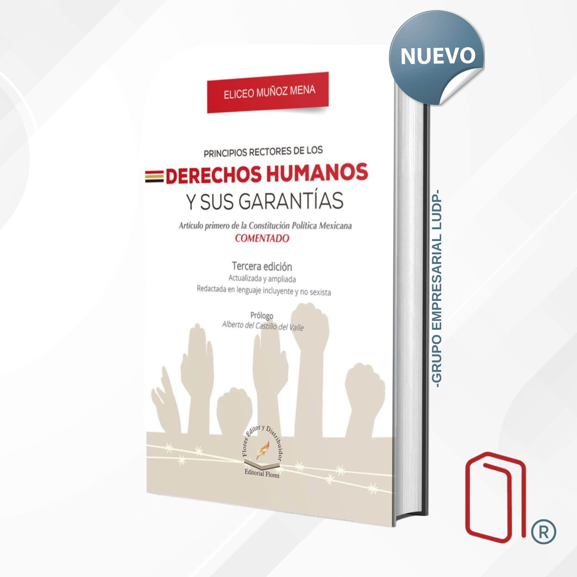 PRINCIPIOS RECTORES DE LOS DERECHOS HUMANOS Y SUS GARANTÍAS