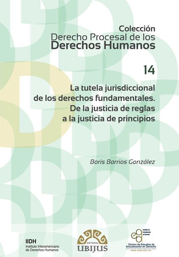 LA TUTELA JURISDICCIONAL DE LOS DERECHOS FUNDAMENTALES – GRUPO ...